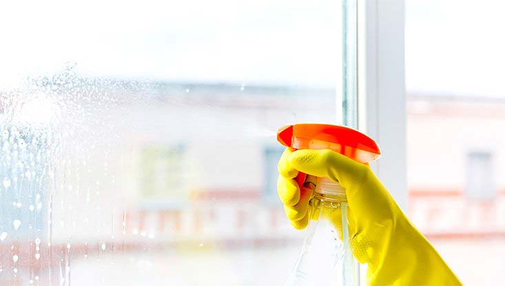 Cleaning Services - Window Cleaning